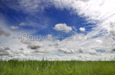  field and sky