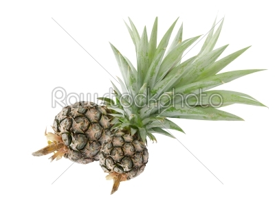  ripe  pineapple 