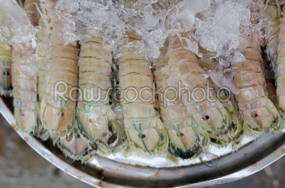  shrimp with ice 