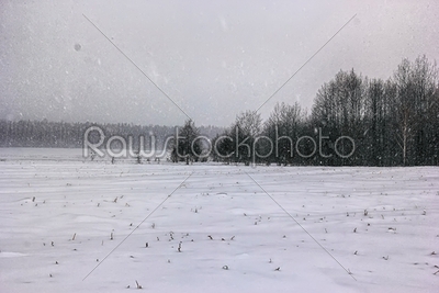 a snowy field