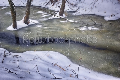 a stream in the forest in winter