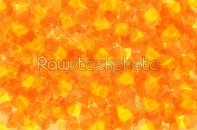abstract flowers