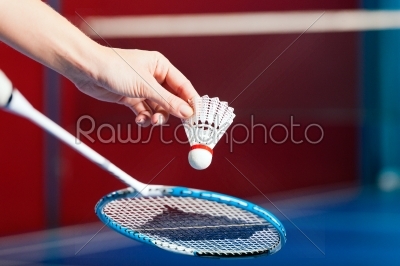 Badminton sport in gym - hand with shuttlecock