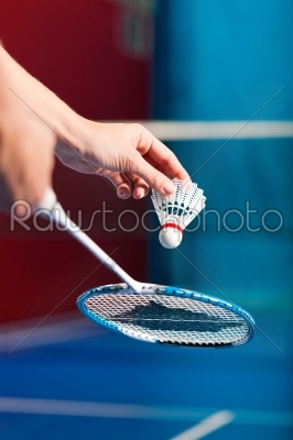 Badminton sport in gym - hand with shuttlecock