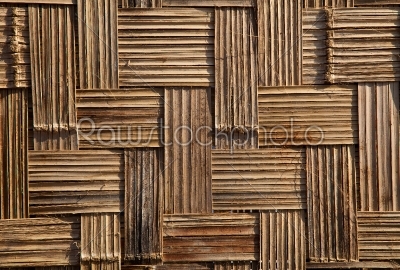 Bamboo Panel
