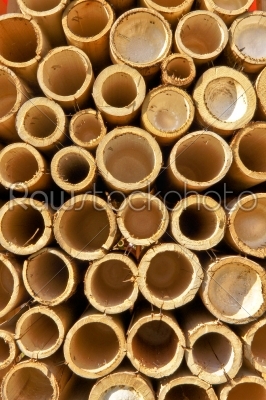 Bamboo pipes.