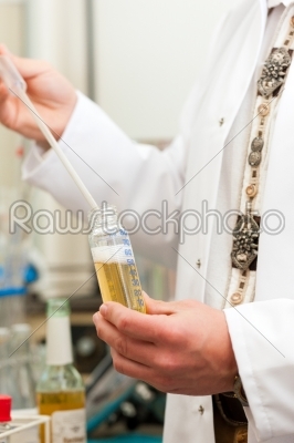 Beer Brewer in food laboratory examining