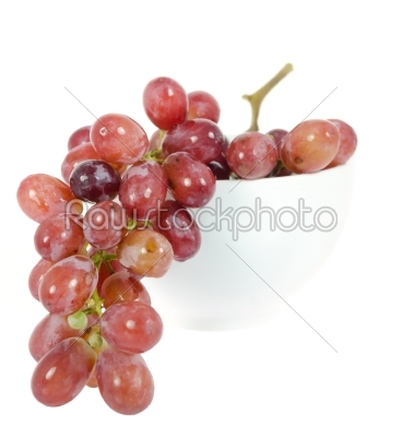 Branch of red grape