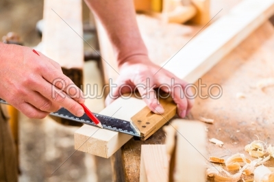 Carpenter with workpiece in carpentry