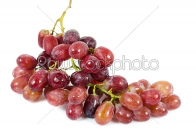 close up fruits