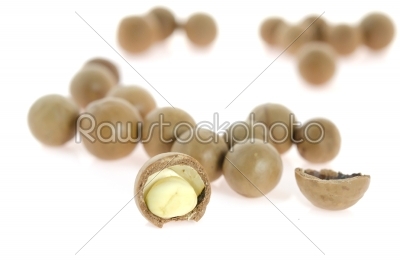 close up shelled macadamia nuts