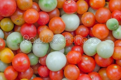 colorful tomato