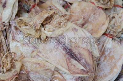 dry squid for sale
