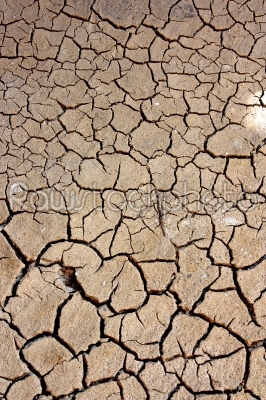 Dryness-a dry ground