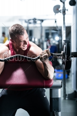 Dumbbell training in gym