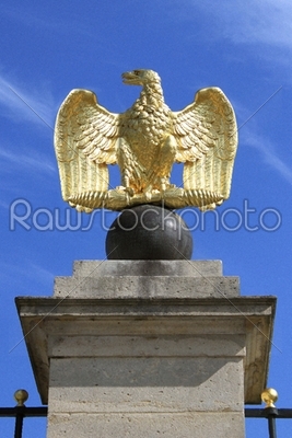Eagle gilded gold statue