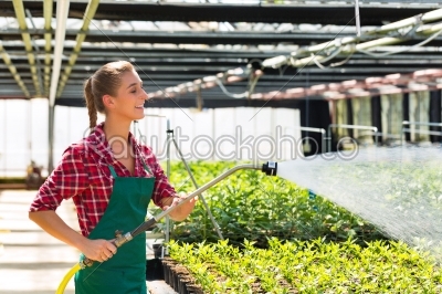 Female commercial gardener watering plants