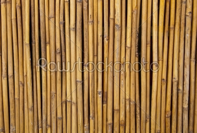 fencing bamboo panel