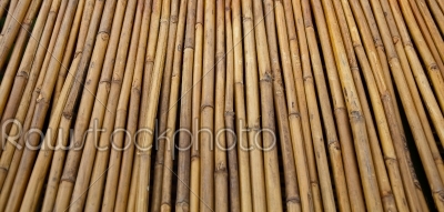fencing bamboo panel
