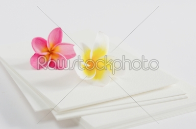 flower and card