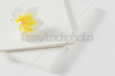 flower and white paper