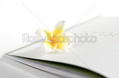 flower on book