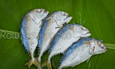 four boiled mackerel fish on green banana leaf