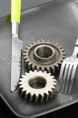gearwheels on a plate