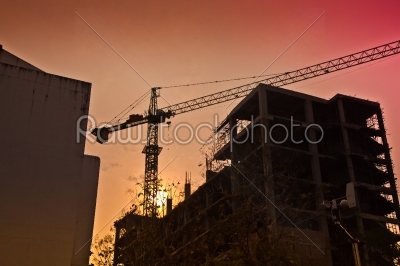 giant crane in silhouette