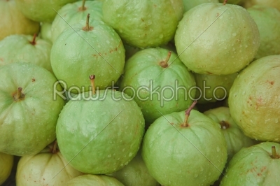 gouva fruit