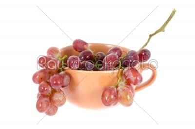 grape in cup