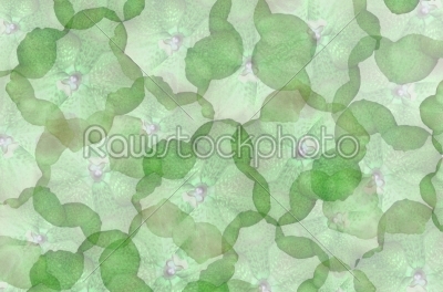 green flower wallpaper