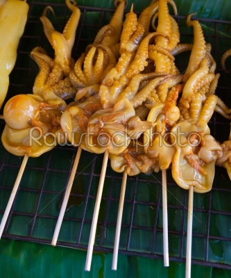 Grilled Squid