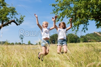 Happy children in a meadow jumping