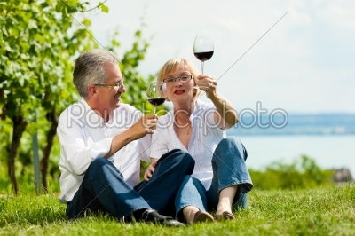 Happy couple drinking wine at lake in summer