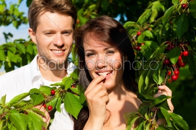 Happy couple eating cherries in summer