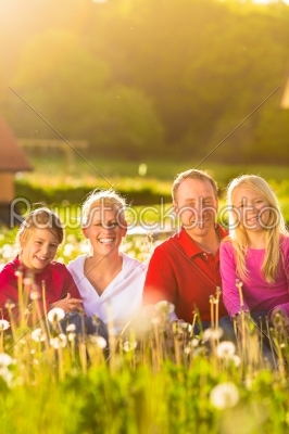 Happy family sitting in summer meadow