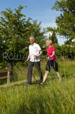 Happy mature or senior couple doing Nordic walking in summer