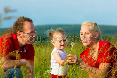 Kid in the meadow blowing dandelion seed
