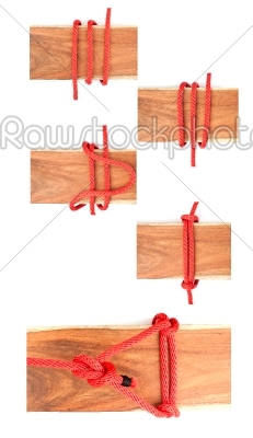 knot series: scaffold hitch knot