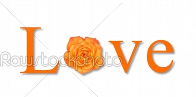 Love Flower Orange