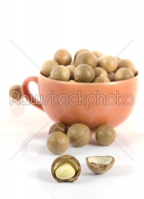 macadamia nuts 