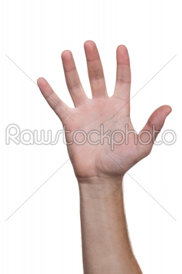 Man hand. five fingers. Isolated white. destiny.  