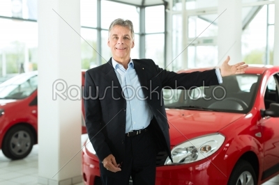 Mature man with auto in car dealership