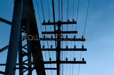 metal bridge and telegraph cable 