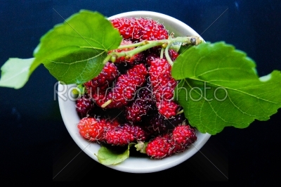 Mulberry fruit.