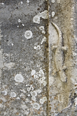 Old structure  stone of the antique  area Nikopolis Ad Istrum - Bulgaria