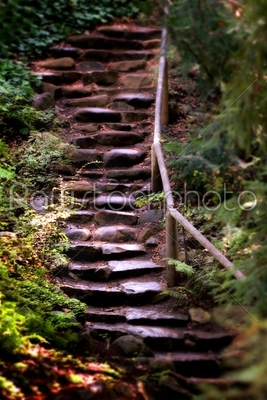 Old Wet Stone Steps