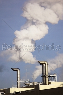 polluting industry