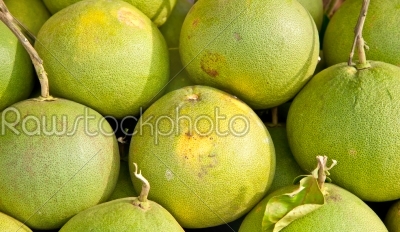 Pompelmous, group of fruit